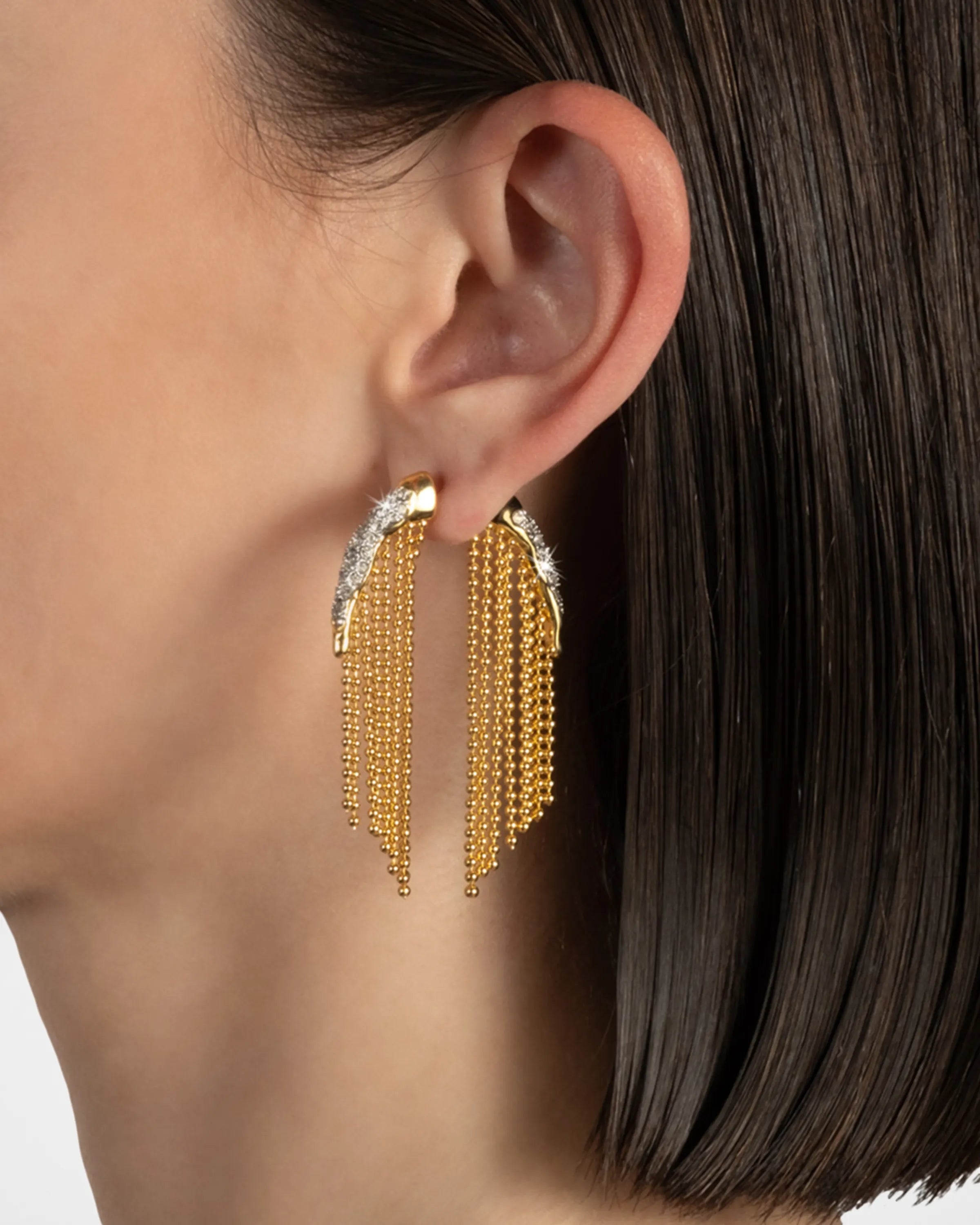 Solanales Crystal Fringe Front Back Earrings