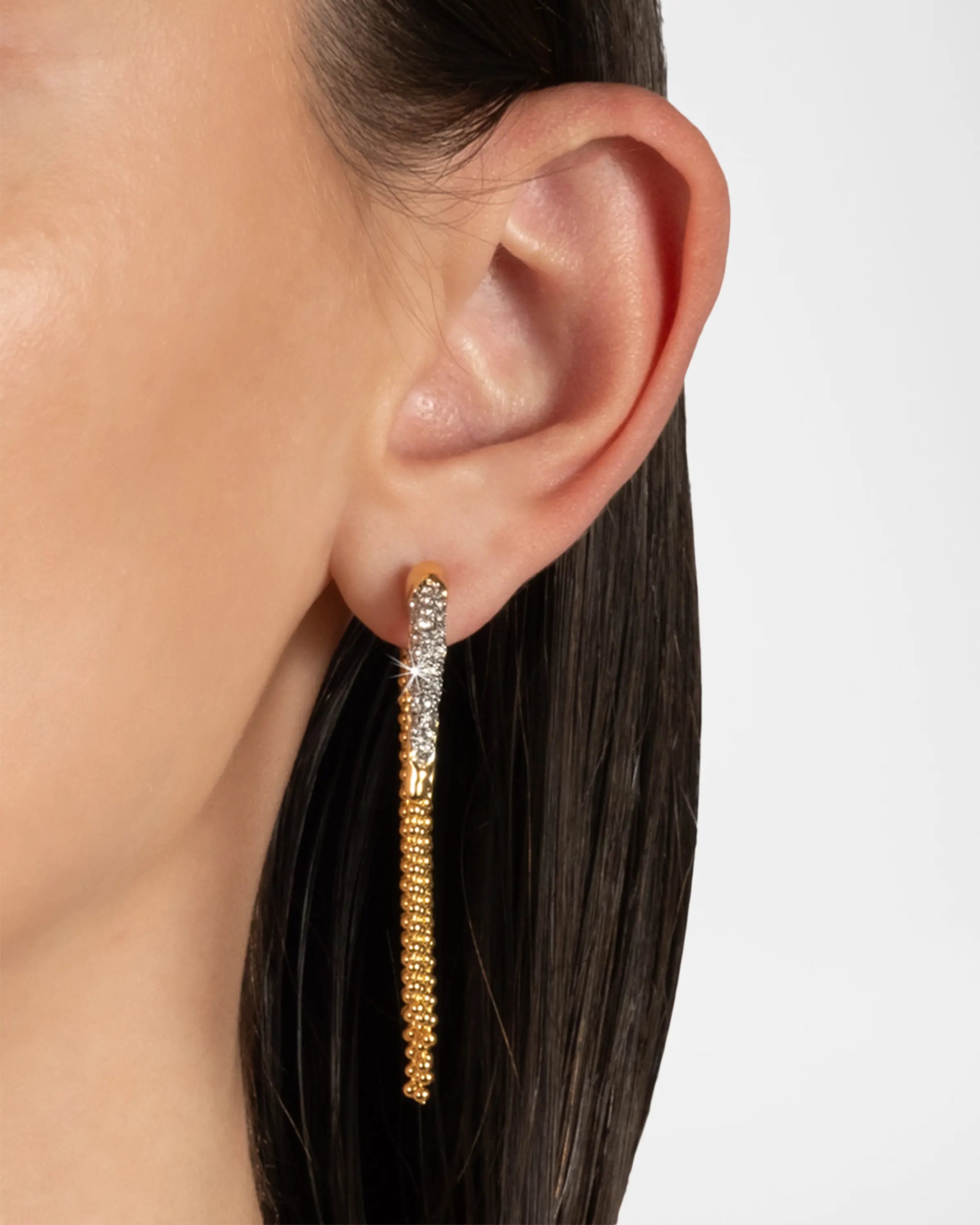 Solanales Crystal Fringe Front Back Earrings
